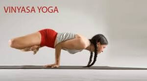 Vinyasa Yoga2