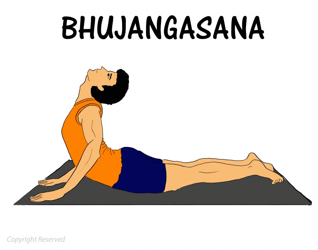 Bhujangasana Benefits, Steps and Benefits, Steps | 101yogasan
