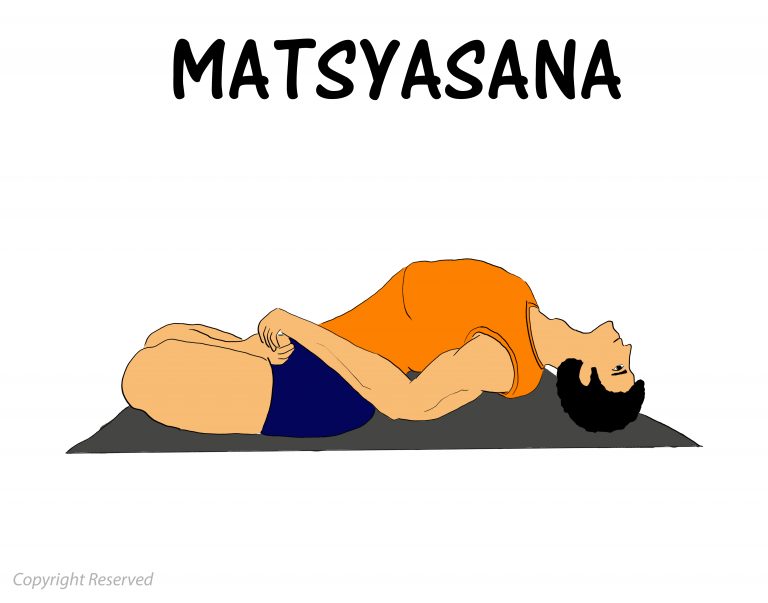 Matsyasana, how to do ,Benefits, Precautions, Contraindications