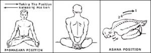 Steps of Yoga Mudra Asana