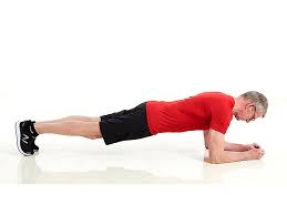 Plank in Easy Freehand Exercises