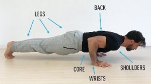 Push ups in Easy Freehand Exercises