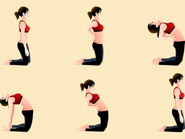 Ustrasana Benefits Procedure Yoga Images 101yogasan 101yogasan
