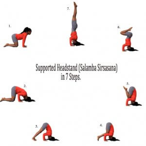 step images of sirsasana