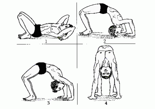 Chakrasana (Urdhwa Dhanurasana) Wheel Pose, Method, Benefits, Side Effects